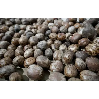 Natural Hemp Seeds